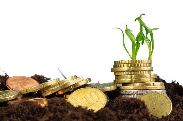 Moedas de euro e conceito de crescimento financeiro de brotos de plantas