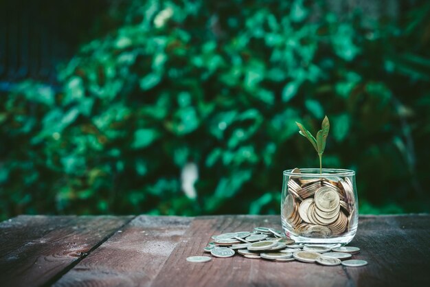 Moedas de ouro em vidro com planta no conceito de economia de madeiraPlanta crescendo em vidro com moedas cheias