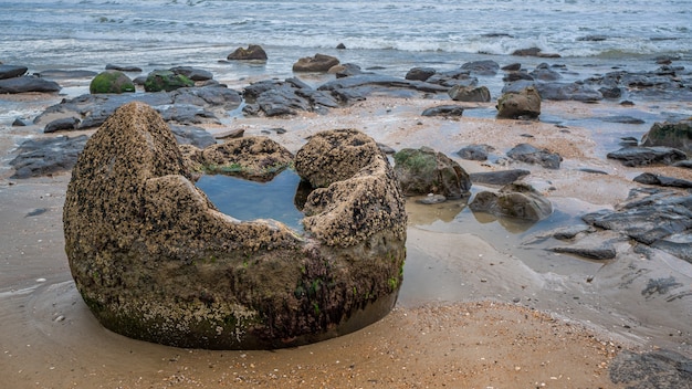 Moeraki-Flusssteine In Otago-Küste, Neuseeland