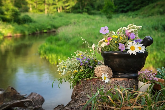 Mörtel von Heilkräutern Haufen von Heilpflanzen auf einem Holzstumpf am Ufer des Waldflusses im Freien