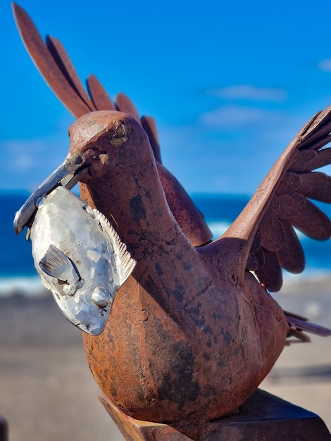 Foto möwe-statue am strand von ajuy, kanarische inseln, spanien