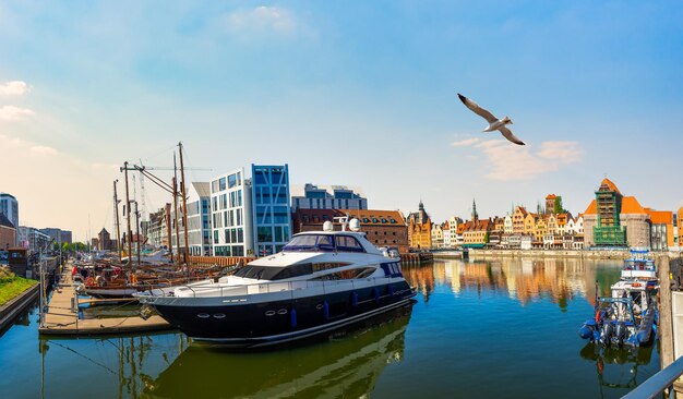 Möwe über Boot in Danzig bei Sonnenuntergang Polen