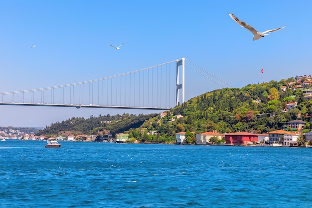 Möwe und die Fatih-Sultan-Mehmet-Brücke nahe der asiatischen Seite von Istanbul