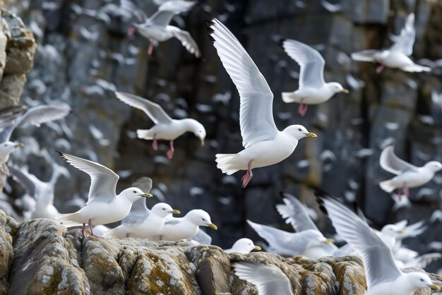 Möwen auf dem Felsen im Meer Generative KI