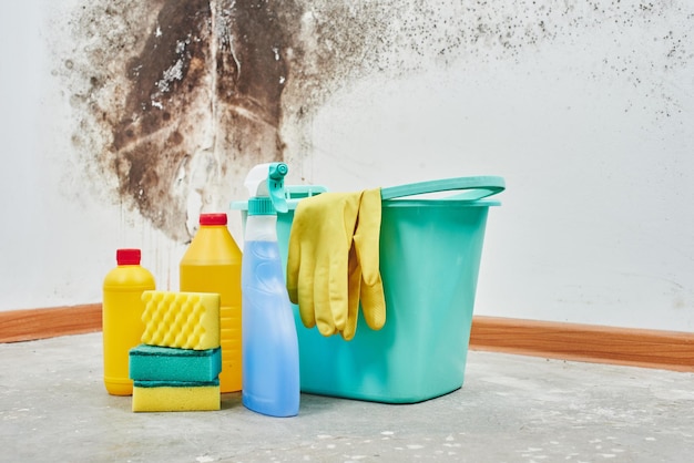 Mofo. Aspergillus. Detergentes, luvas domésticas, uma esponja, um balde em um fundo de parede branca com um fungo preto.