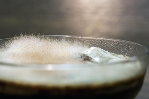 Mofo em geléia em um prato de vidro Comida mofada no prato