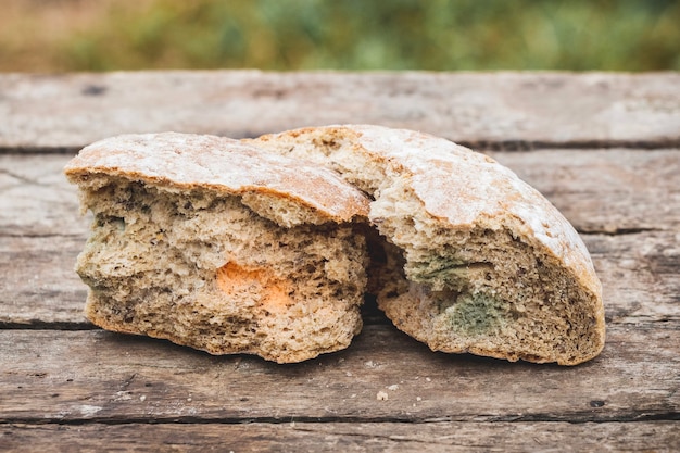 Mofo em uma fatia de pão sobre uma superfície de madeira pão velho coberto de mofo