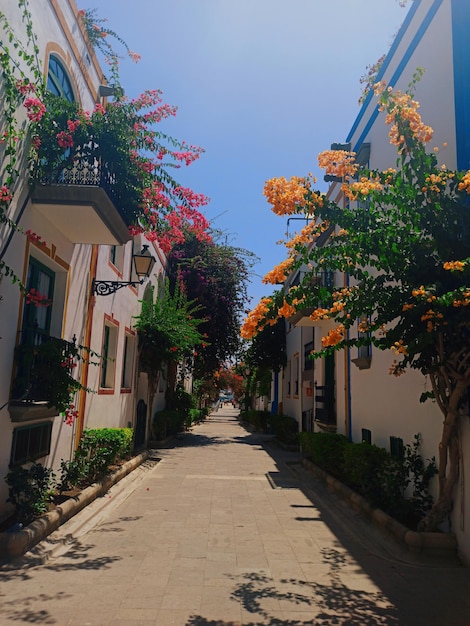 Mogan-Straße auf Gran Canaria