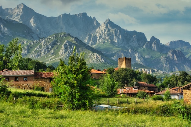 Mogrovejo, cantabria.spain