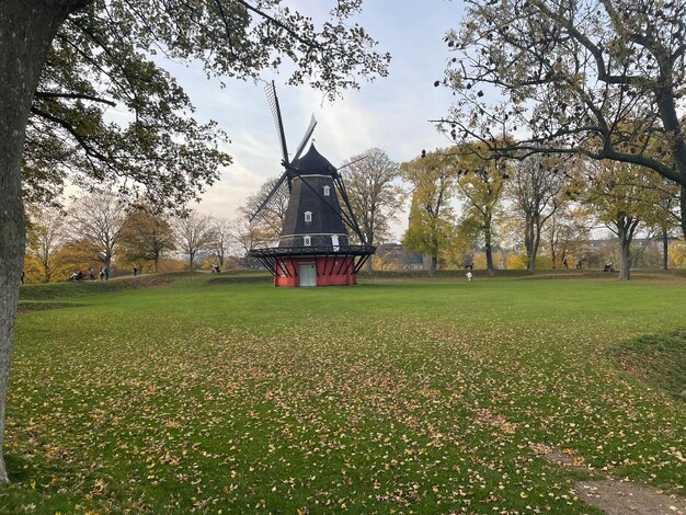 Moinho De Vento Em Kastellet Copenhagen Imagem de Stock - Imagem