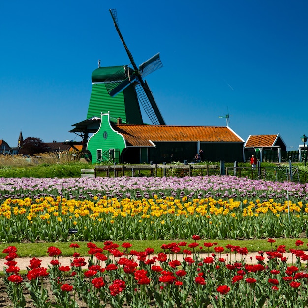 moinho de vento na Holanda