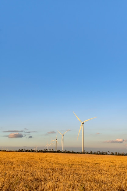 Moinhos de vento contra o céu azul em um campo amarelo. Fontes de energia alternativa. Quadro vertical.