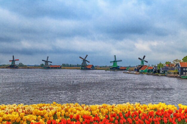 Moinhos de vento da vila tranquila de zaanse schans na holanda