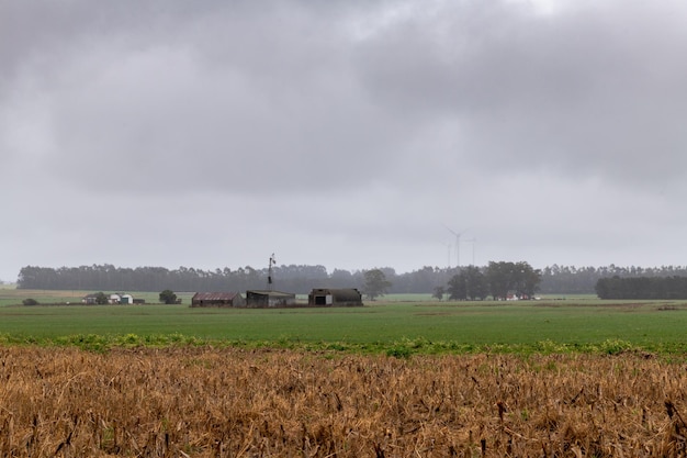 Moinhos de vento de árvore sob um céu chuvoso no campo