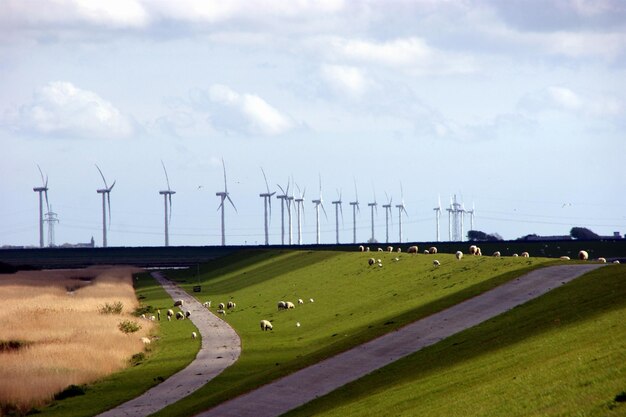 Foto moinhos de vento em campos rurais contra o céu