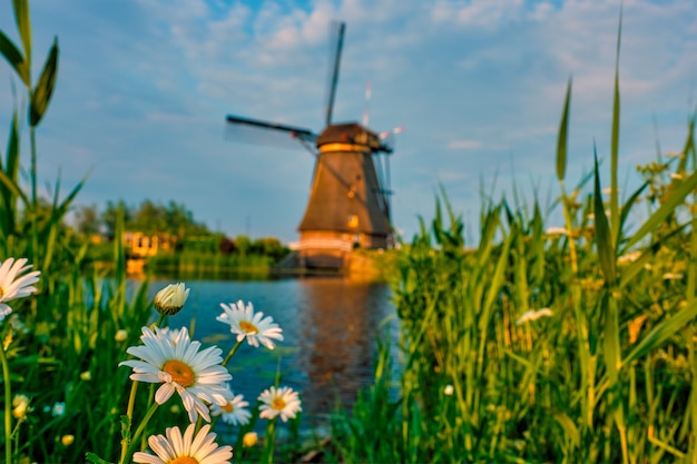 Moinhos de vento em kinderdijk, na holanda