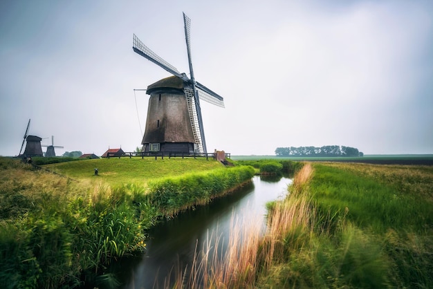 Moinhos de vento holandeses velhos no cenário frio da manhã perto de Amsterdã