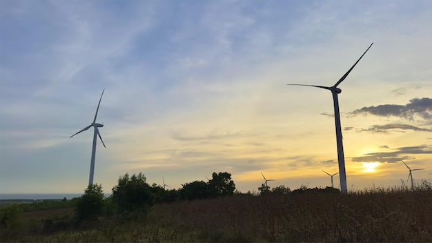 Moinhos de vento para produção de energia elétrica no Vietnã Fazenda de turbinas eólicas Fazenda de moinhos de vento produzindo energia verde em fundo natural Paisagem de tecnologia de conceito de energia renovável