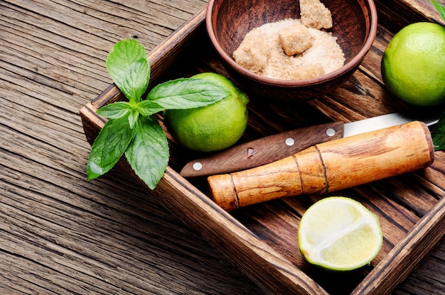 Mojito de cocktail refrescante de verão