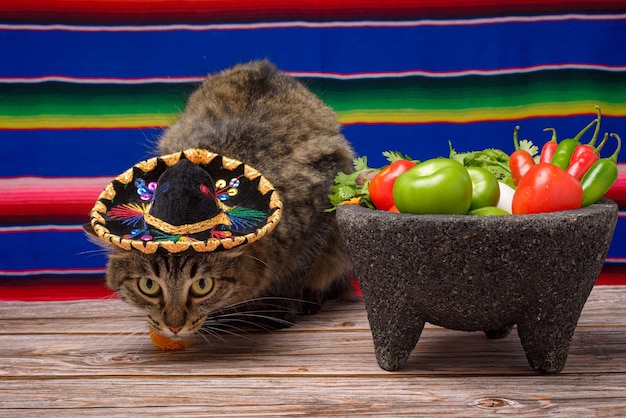 Molcajete com legumes na mesa de madeira Ingredientes para um molho picante Gato com chapéu de mariachi