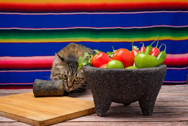 Molcajete com legumes na mesa de madeira Ingredientes para um molho picante Gato na mesa