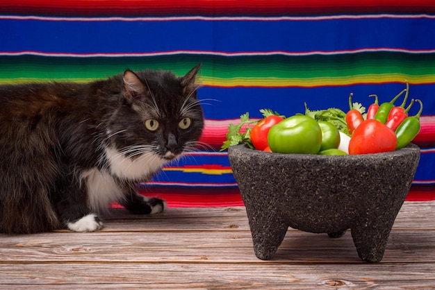 Molcajete mit Gemüse auf Holztisch Zutaten für eine scharfe Soße Katze auf dem Tisch