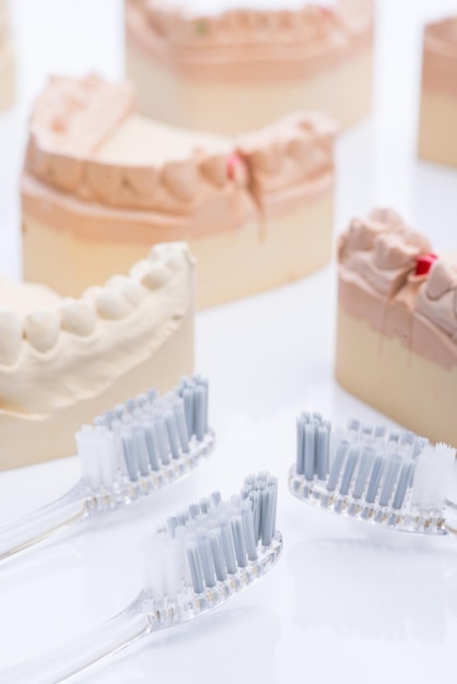 Moldes de dientes con cepillo de dientes sobre una mesa blanca brillante