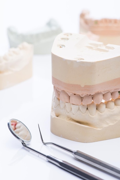 Moldes de dientes con herramientas dentales básicas sobre una mesa blanca brillante