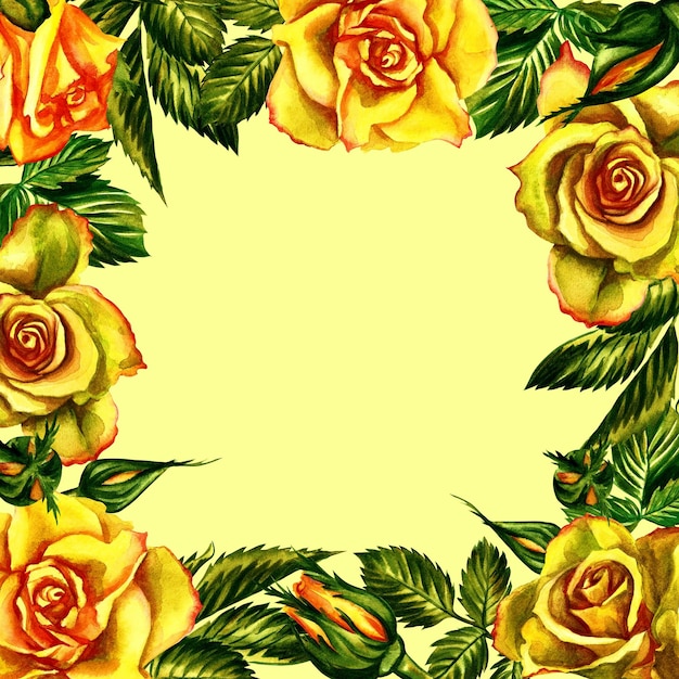 Moldura amarela de rosas em fundo amarelo. Ilustração em aquarela.