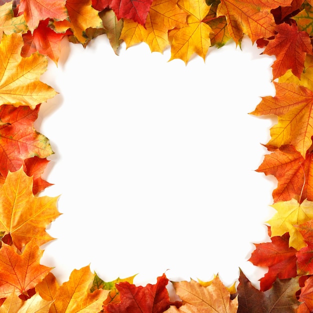 Moldura de borda de folhas coloridas de outono isoladas em branco