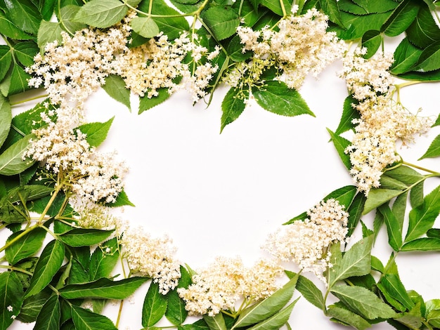 Moldura de forma de coração com flores brancas de plantas sobre fundo branco. Postura plana, vista superior