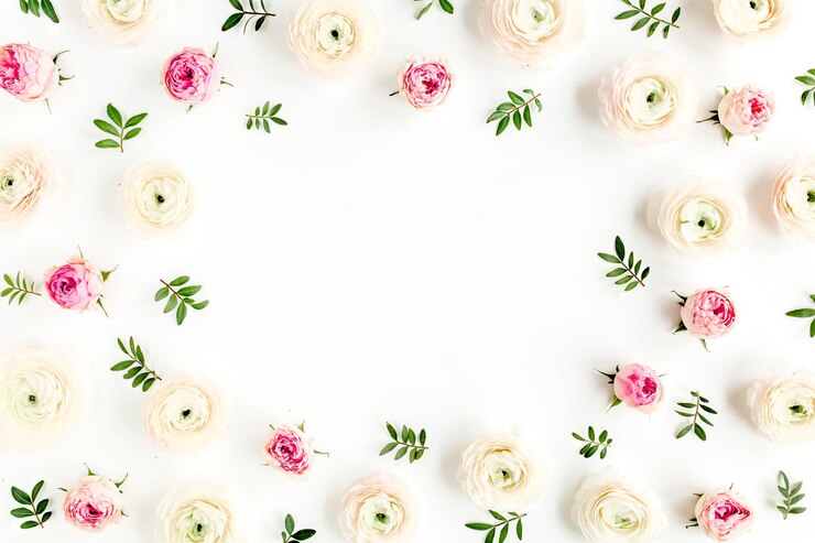 Moldura de fundo floral feita de ranúnculo rosa e botões de flores de rosas em fundo branco plano vista superior fundo floral