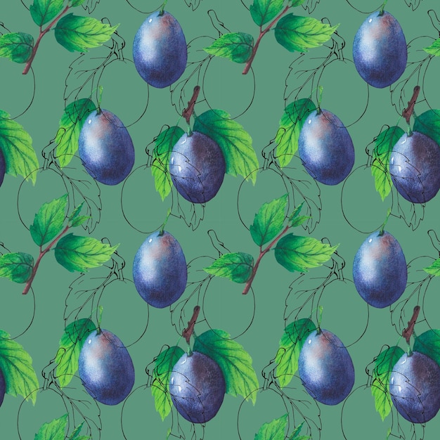 Moldura de galhos de ameixa aquarela com folhas verdes e frutas Ameixas pintadas à mão Clip art de fundo