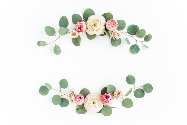 Moldura de grinalda feita de ramos de eucalipto rosa ranúnculo rosa e folhas isoladas