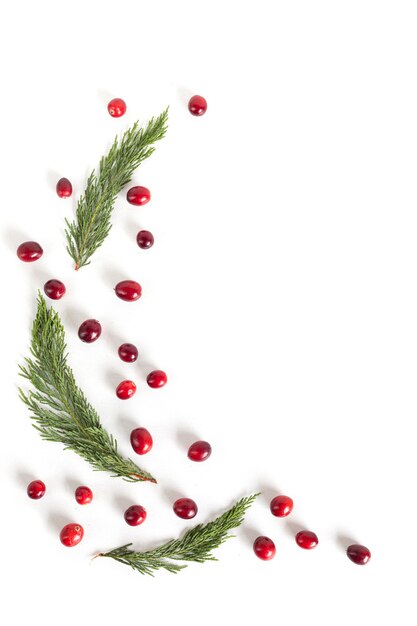 Moldura de Natal com cranberries, vista plana leiga, superior.