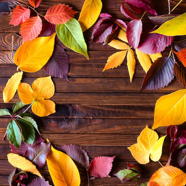 Moldura de outono para sua ideia e texto Folhas secas de outono caídas de laranja vermelha amarela