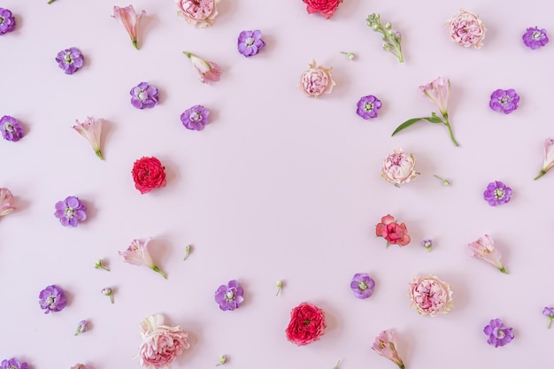 Moldura feita de botões de flores rosas em fundo rosa Flatlay vista superior Vista de cima Copiar maquete de espaço