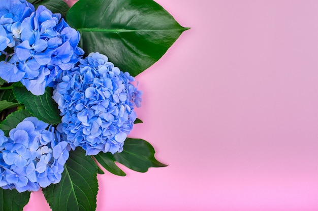 Moldura feita de hortênsia azul e folhas verdes em rosa