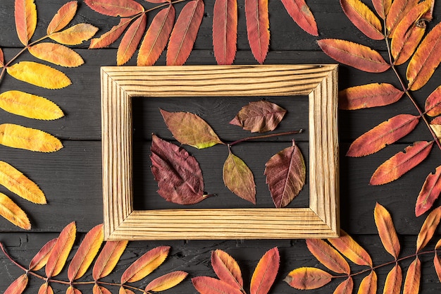 Foto molduras para fotos e folhas de outono coloridas