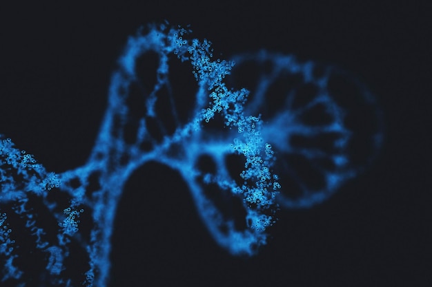 Molécula de ADN de ácido desoxiribonucleico que lleva las instrucciones genéticas del desarrollo, el funcionamiento y la reproducción de todos los organismos vivos y virus