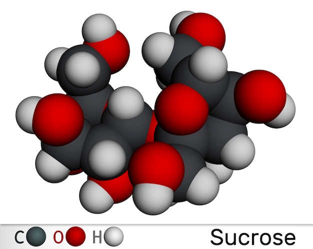 Foto molécula de azúcar de sacarosa modelo molecular en 3d