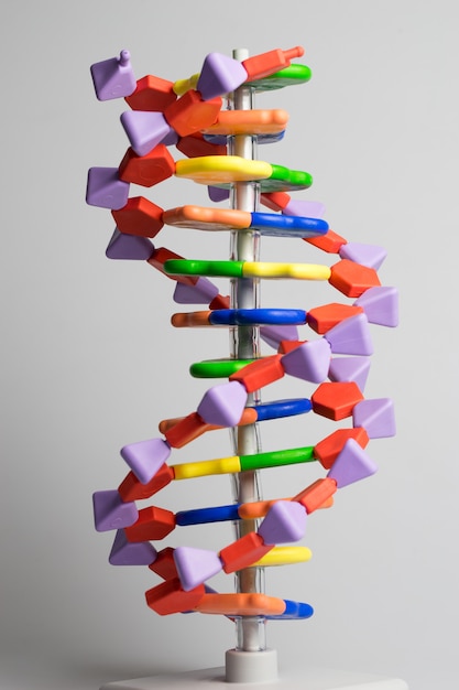 Foto molekül-, dna- und atommodell im wissenschaftlichen forschungslabor