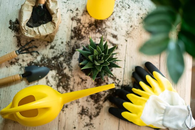 Molhando uma flor de um regador de jardim, as ferramentas de jardim estão sobre uma mesa de madeira, uma pá, uma amarela