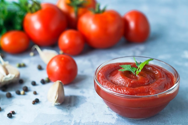 Molho de tomate clássico com especiarias, pimenta e alho em um fundo de concreto