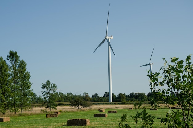 molino de viento en un campo de balas de hierba energía limpia