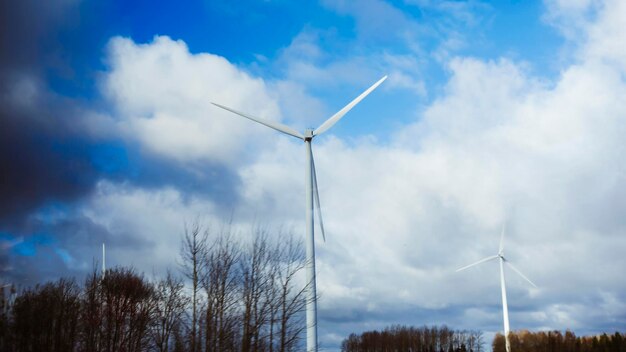 Un molino de viento en un campo de juncos y un cielo azul.