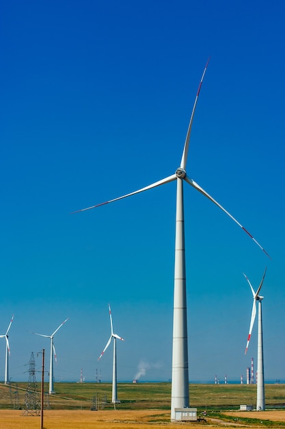 Un molino de viento en un campo de trigo y un cielo azul