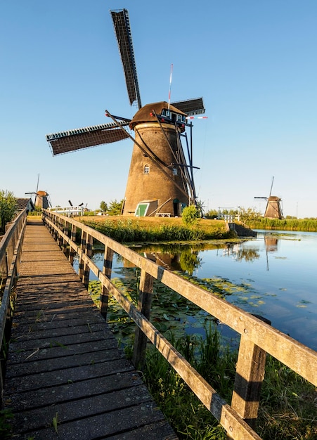 Un molino de viento en la orilla de un canal con juncos en Kinderdijk Holanda Holanda