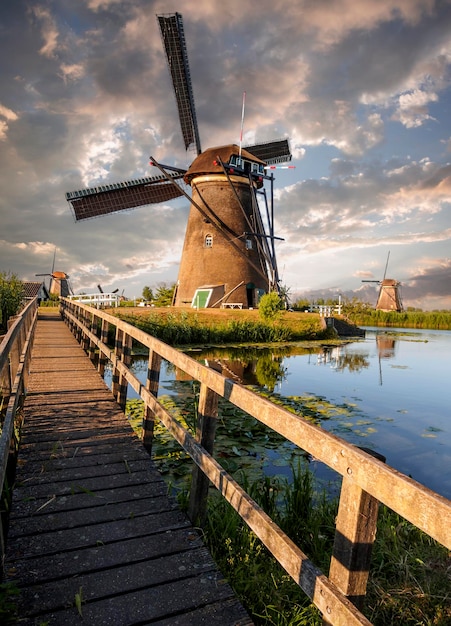 Un molino de viento en la orilla de un canal con juncos en Kinderdijk Holanda Holanda