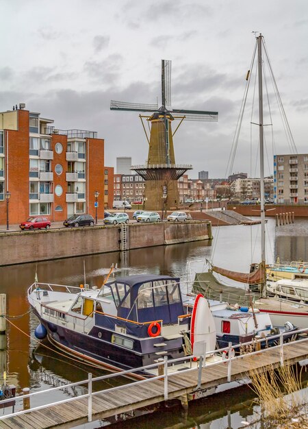 Foto molino de viento en rotterdam